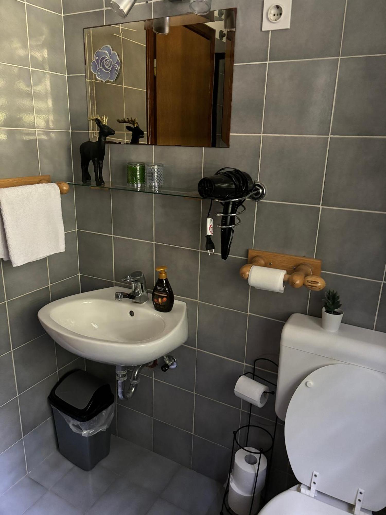 Guest House Kmecki Hram Fortuna Idrija Bagian luar foto